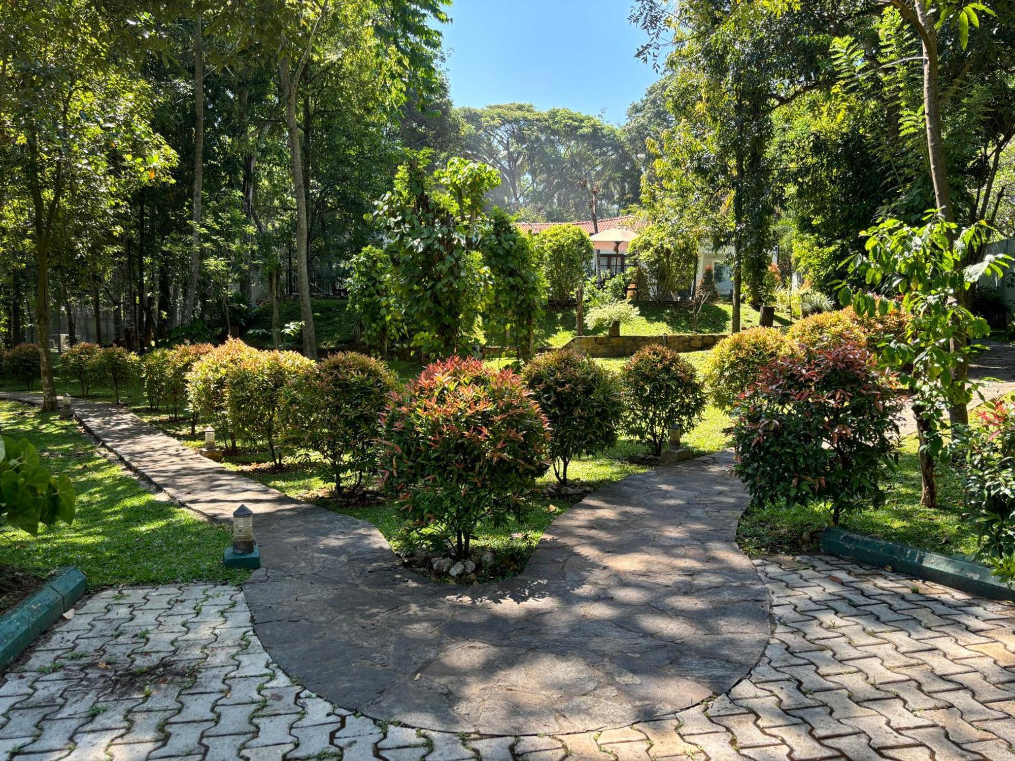 Serenity Villa Digana Kandy Zewnętrze zdjęcie